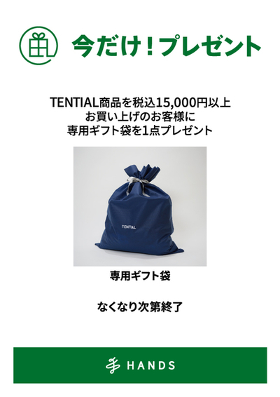 見本_【府中・ミナモア】INT_TENTIAL_ギフト袋_ノベルティキャンペーン_A4.jpg